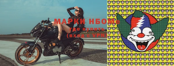 стафф Алзамай