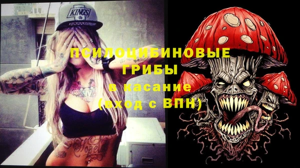 стафф Алексин