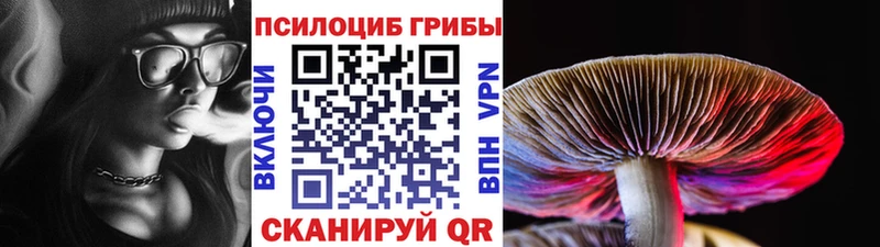 где продают   Чусовой  Галлюциногенные грибы ЛСД 