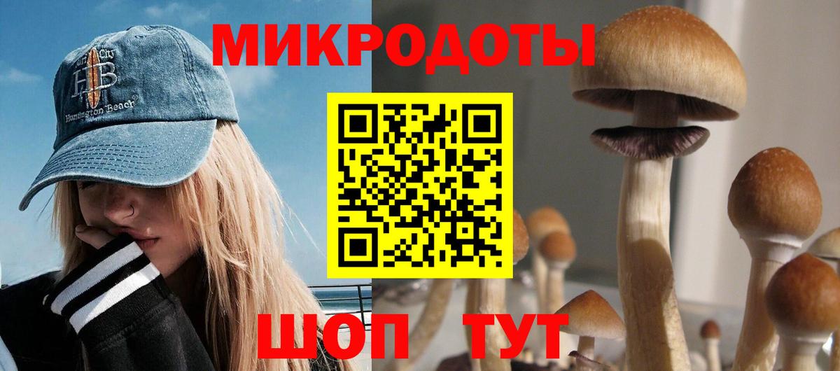 купить  сайты  Галлюциногенные грибы прущие грибы  Чусовой  Вход с VPN  Псилоцибиновые грибы Cubensis 